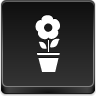 AFKB-Pot flower.png