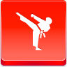 AFRB-Karate.png