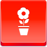 AFRB-Pot flower.png