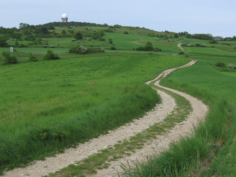 Soubor:Buschberg1.jpg