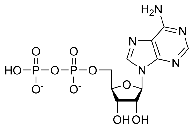 Soubor:ADP chemical structure.png