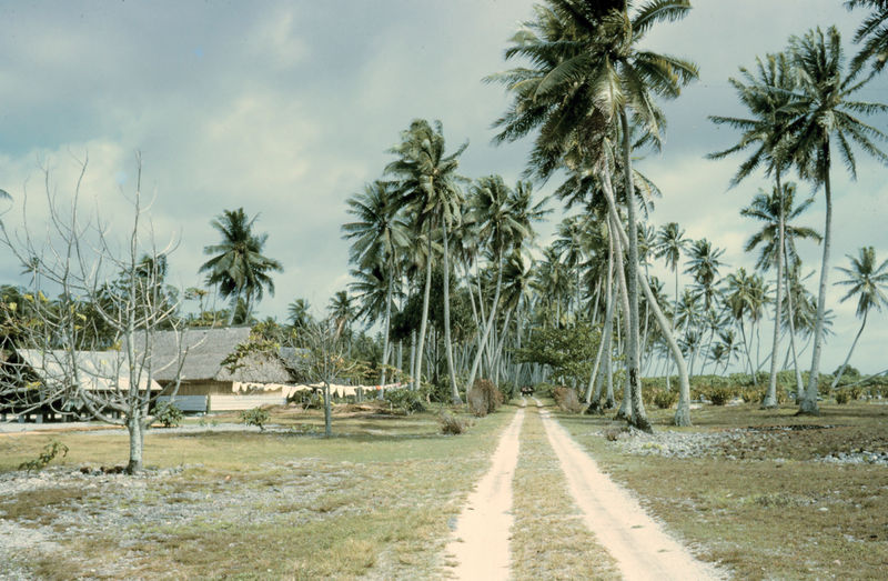 Soubor:Washington Island road.jpg