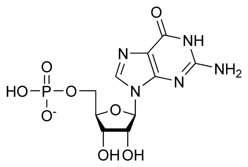 Soubor:GMP chemical structure.png