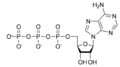 ATP chemical structure.png