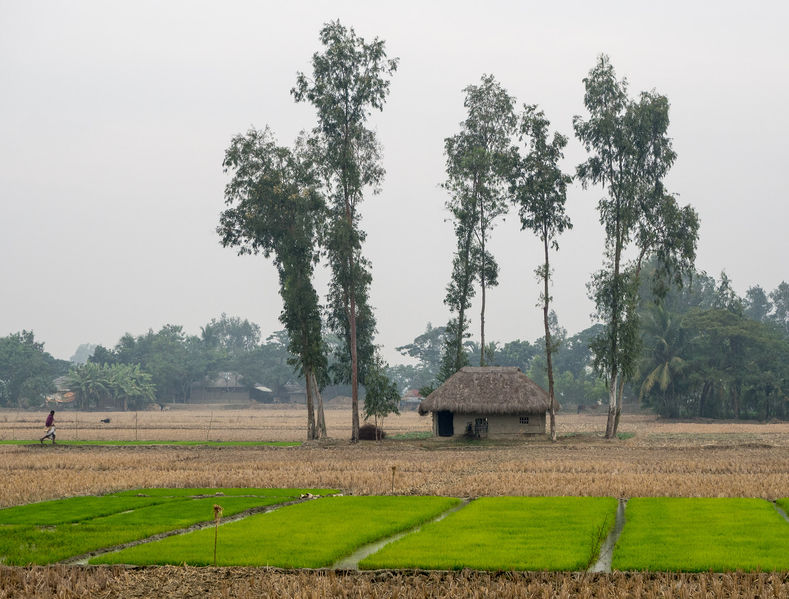 Soubor:Village Fields (16596769371).jpg