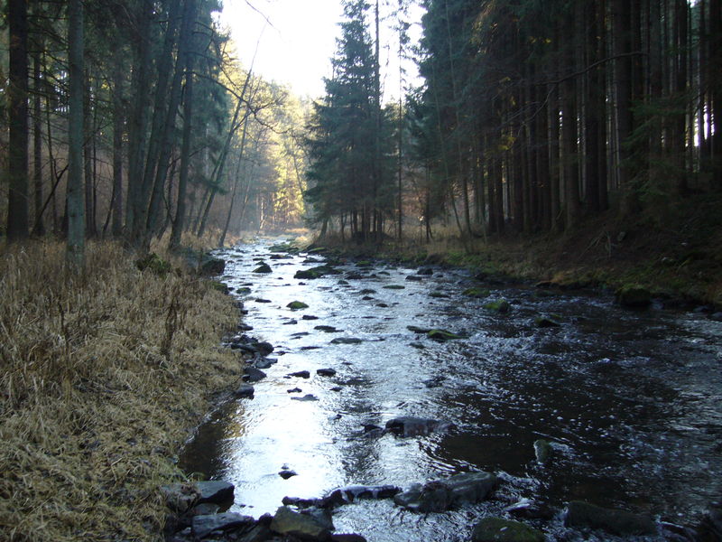 Soubor:Žirovnice (řeka).jpg