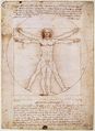 Vitruvian.jpg