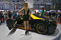 Salon de l'auto de Genève 2014 - 20140305 - Nimrod 1.jpg