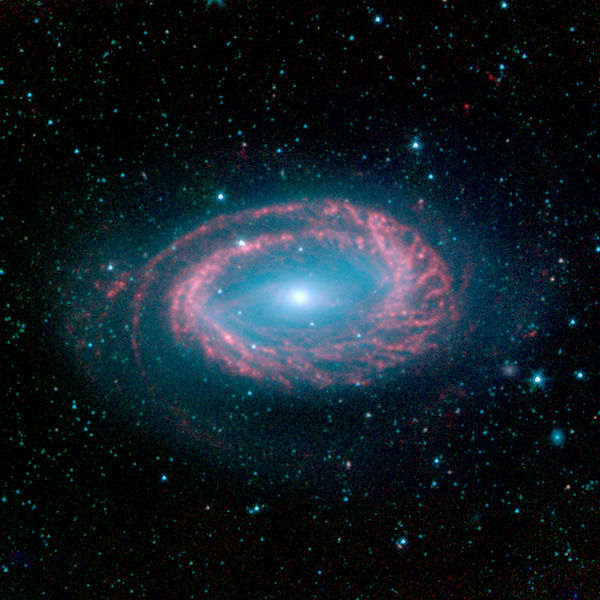 Soubor:NGC 4725.jpg