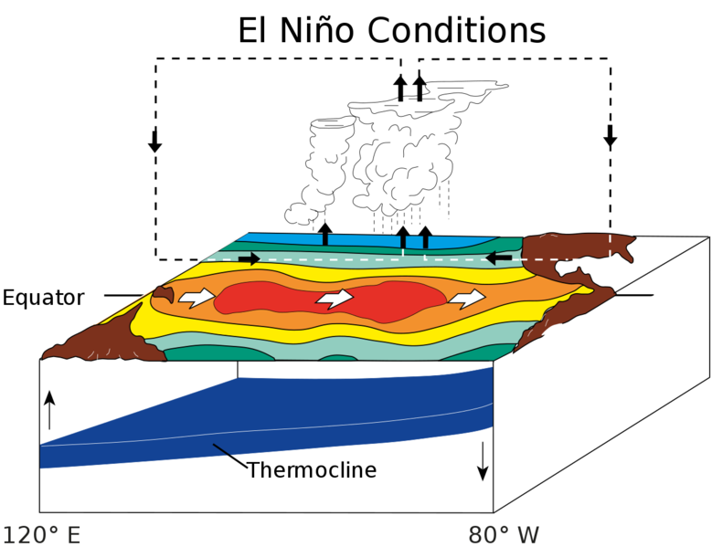 Soubor:ENSO - El Niño.png