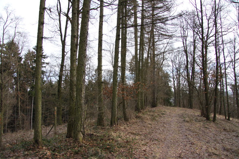 Soubor:Natural reserve Kuřidlo (10).JPG