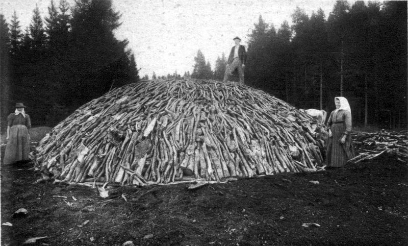 Soubor:Charcoal pile 05.jpg