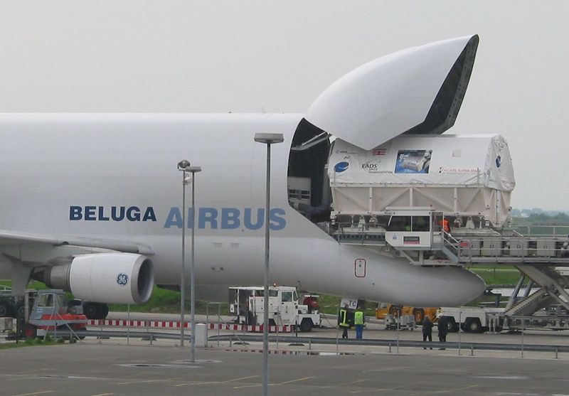 Soubor:Columbus beluga.jpg