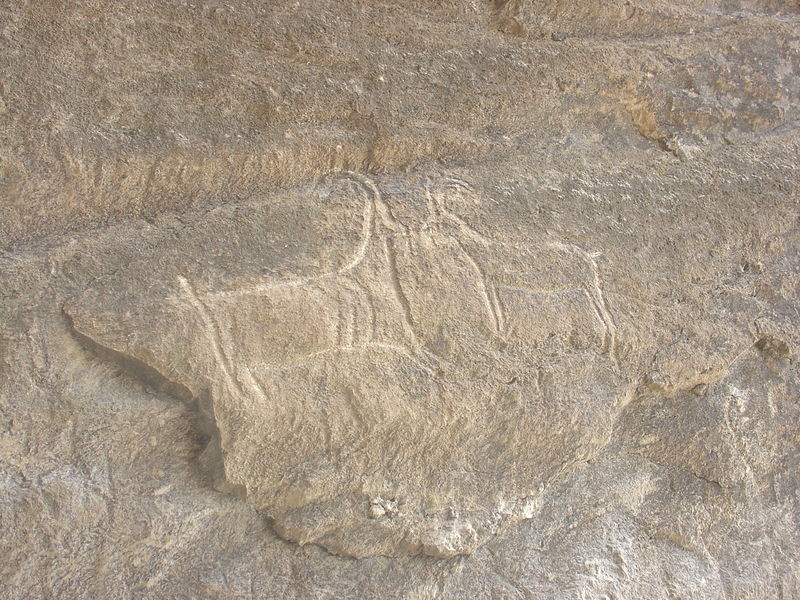 Soubor:More Qobustan Petroglyphs2.jpg