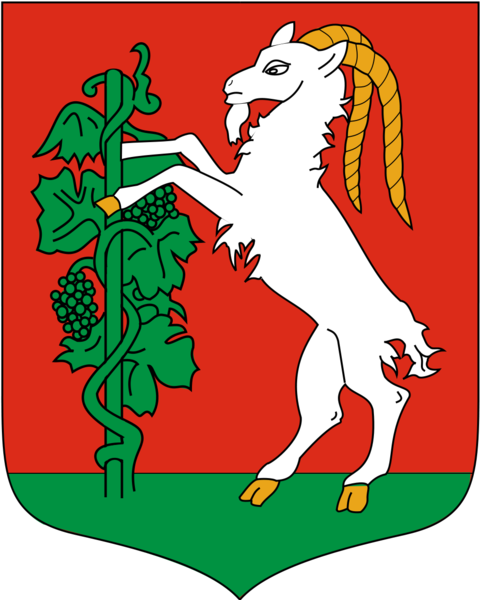 Soubor:POL Lublin COA.png