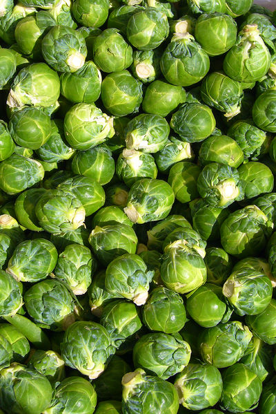 Soubor:Brussels sprout closeup.jpg