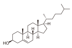 cholesterol