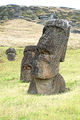 Chile-03050-Crooked Neck-DJFlickr.jpg