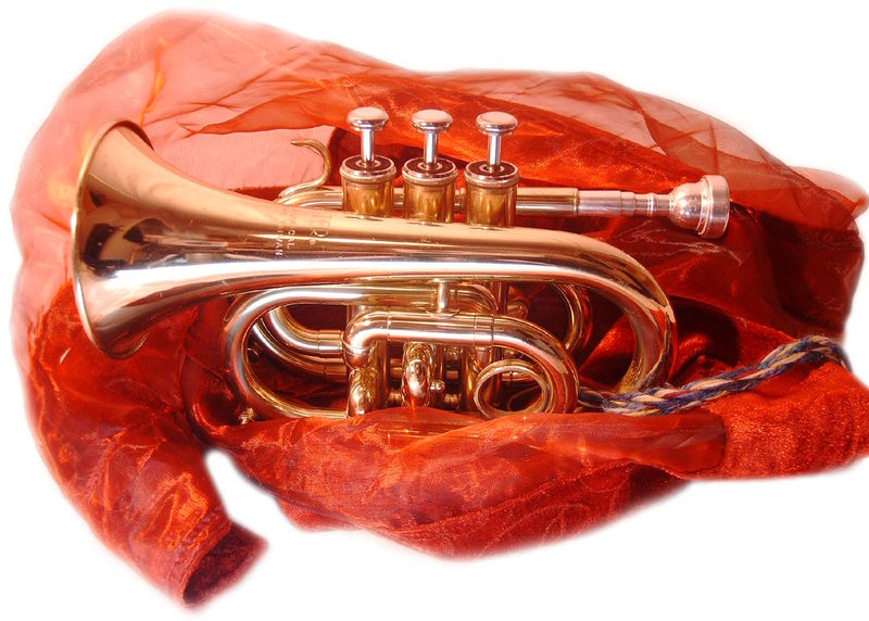 Soubor:Trumpet pocket.jpg