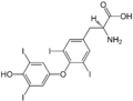 (S)-Thyroxine Structural Formulae.png