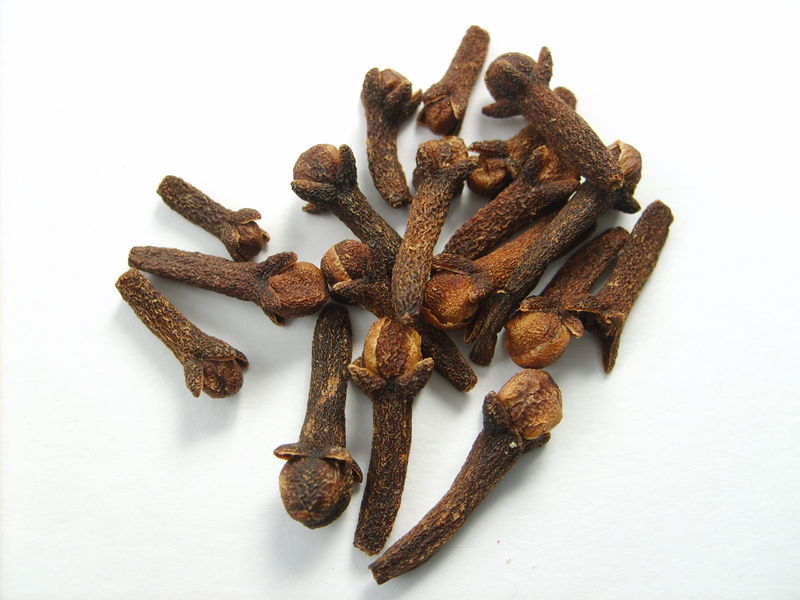 Soubor:Cloves.JPG