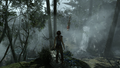 Tomb Raider GOTY-2013-011.png