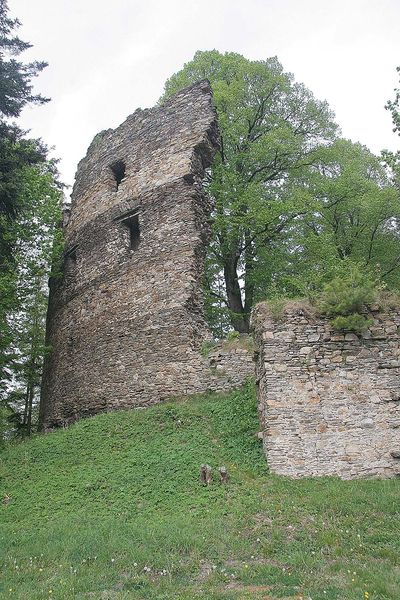 Soubor:Dalečín - hrad5.jpg