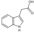 Náhled verze z 29. 3. 2014, 12:09