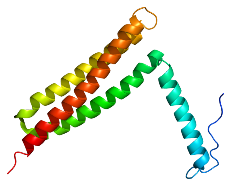 Soubor:Protein PTK2 PDB 1k04.png