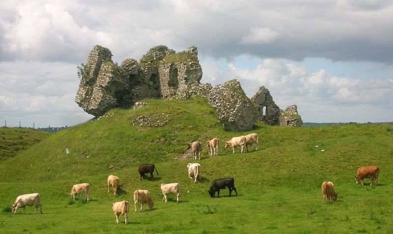 Soubor:Clonmacnoise castle and cattle.jpg