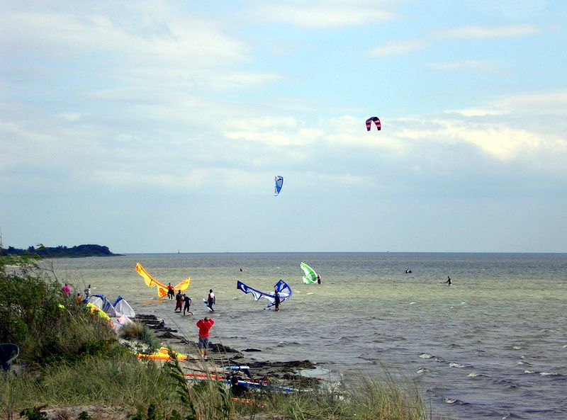 Soubor:Kite Poland 4.JPG