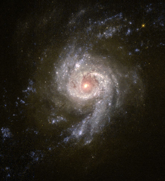 Soubor:NGC 3310.jpg