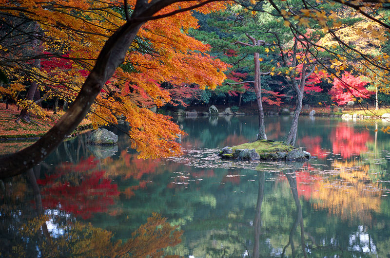 Soubor:KyotoAutumn.jpg