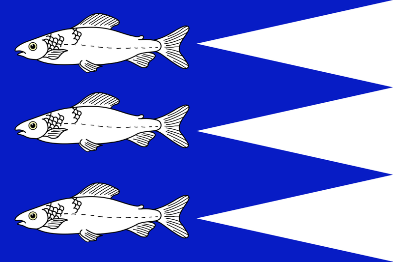 Soubor:Flag of Aš, Cheb.png