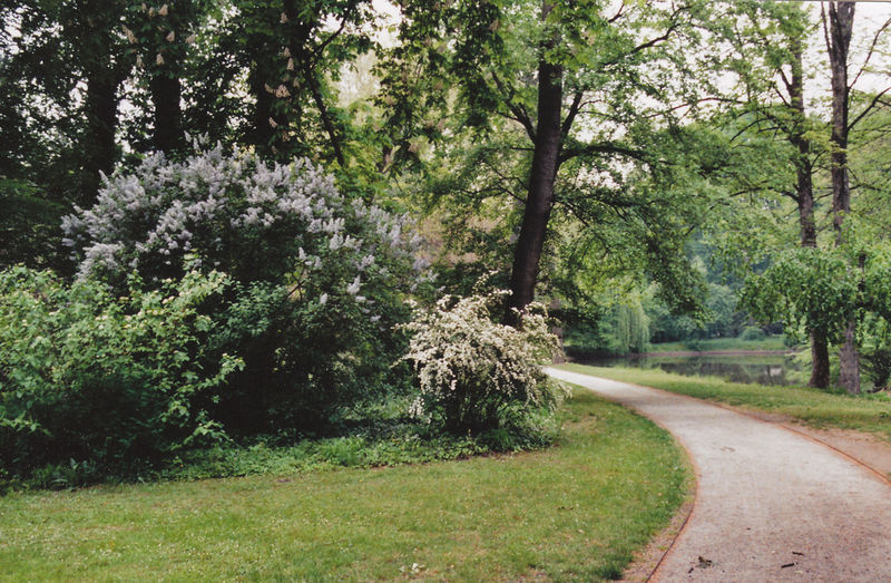 Soubor:Schloss Kroměříž Park 02.jpg