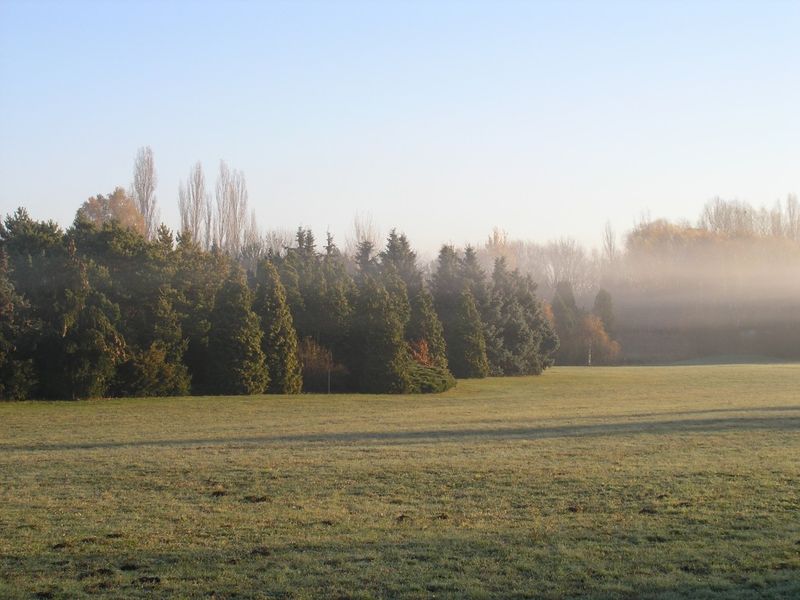 Soubor:Dendrological garden5.jpg