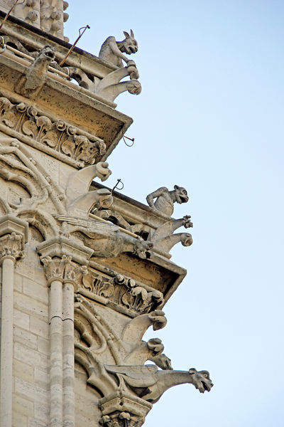 Soubor:France-000227-Gargoyles-DJFlickr.jpg