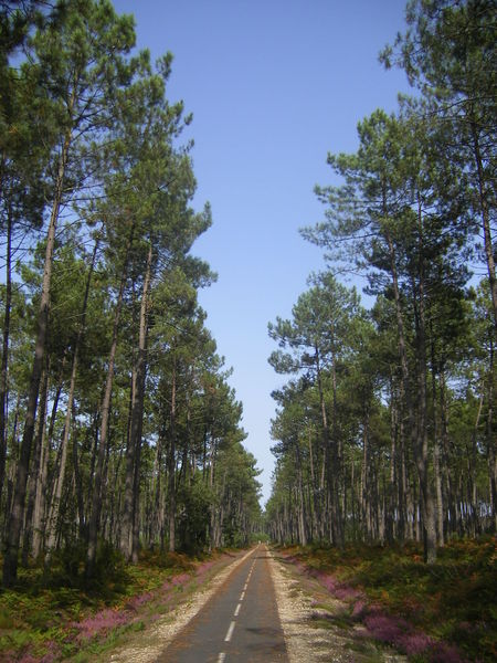 Soubor:FR-33-Bicycle route.JPG