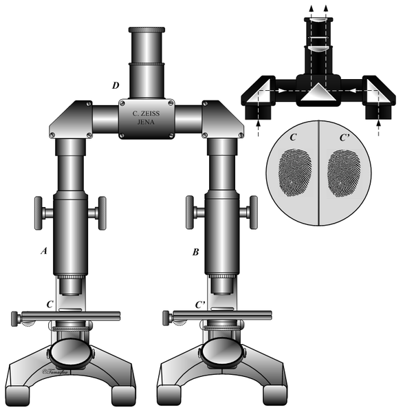 Soubor:ComparisonMicroscope.png