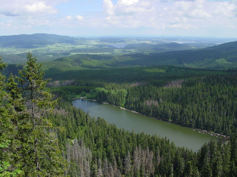 Soubor:Plešné jezero.jpg