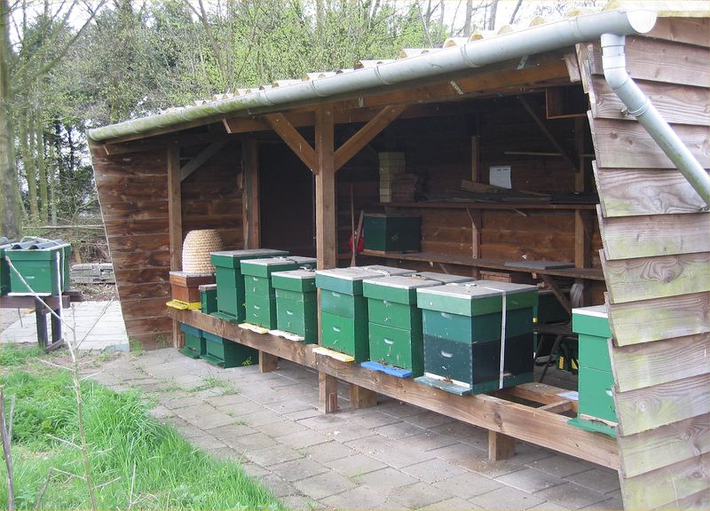 Soubor:Bijenstand (Honeybees).jpg