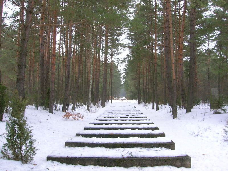 Soubor:Treblinka - Rail tracks.JPG