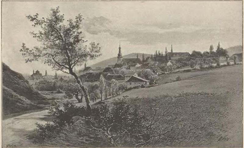 Soubor:Lewy Doupov Panorama.jpg