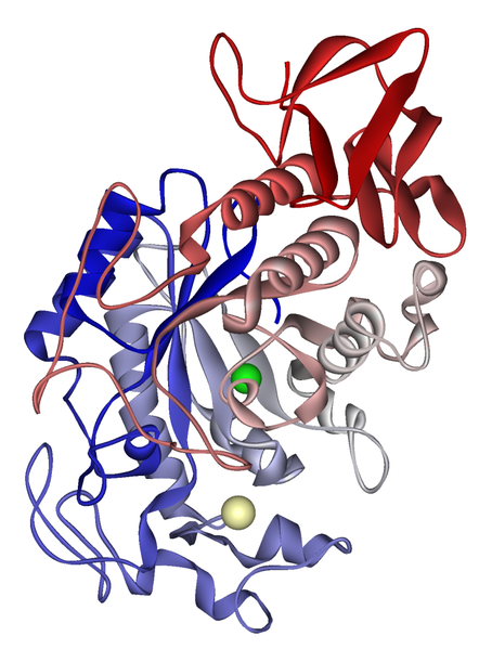 Soubor:Salivary alpha-amylase 1SMD.png