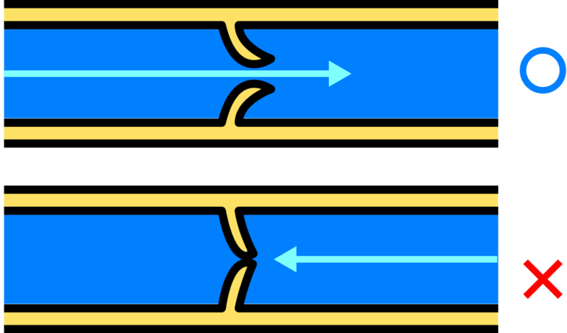 Soubor:Venous valve.png