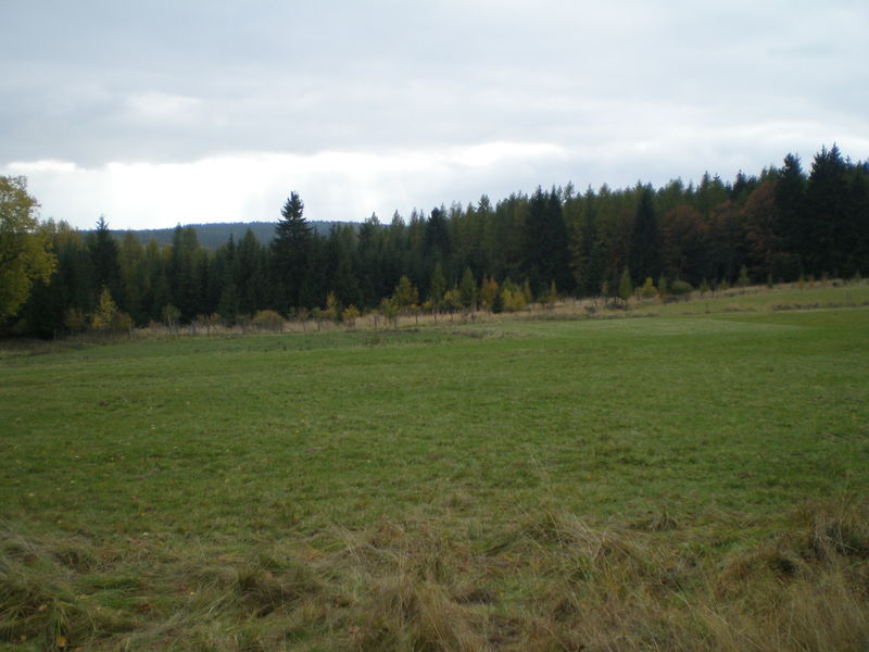 Soubor:Louky pod Skelnou Hutí.JPG