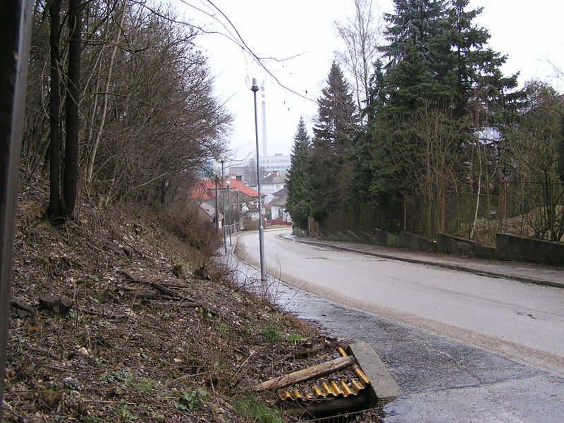 Soubor:TRENCIN2008-21.jpg