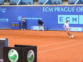 DCibulkova-ECM13.jpg