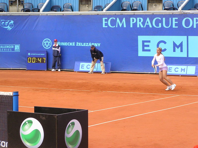 Soubor:DCibulkova-ECM13.jpg