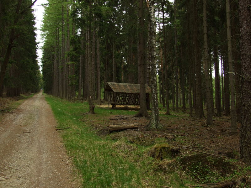 Soubor:Dobříš, Brdy, Jelení palouky.JPG